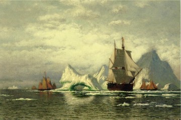  barco - Ballenero ártico de regreso a casa entre los icebergs barco marino William Bradford